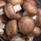 Mushroom Edibles as a Culinary Art